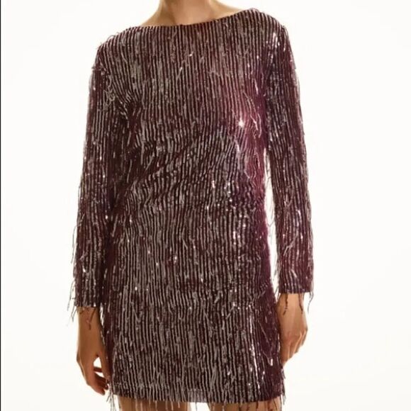 ZARA FRINGED SEQUIN DRESS - Picture 9 of 14